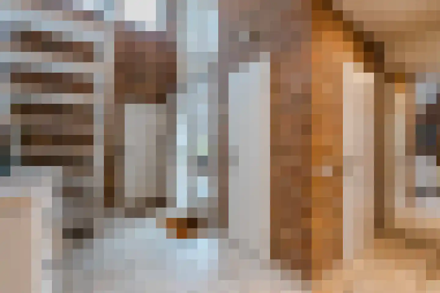 Het Lage Holt 12 Hoogeveen thumbnail 11