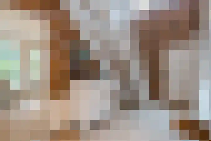 Het Lage Holt 12 Hoogeveen thumbnail 12