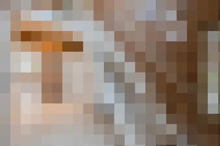 Het Lage Holt 12 Hoogeveen thumbnail 13