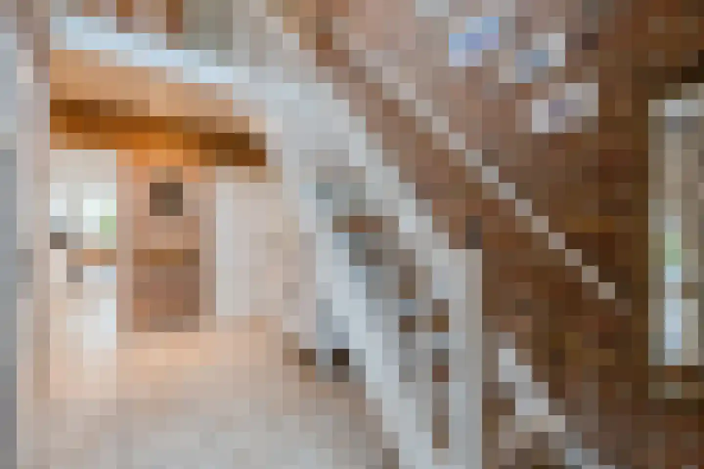Het Lage Holt 12 Hoogeveen thumbnail 13