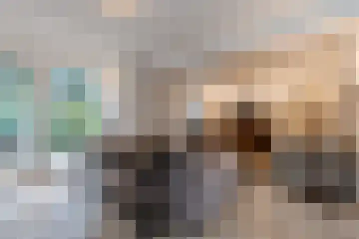 Het Lage Holt 12 Hoogeveen thumbnail 15