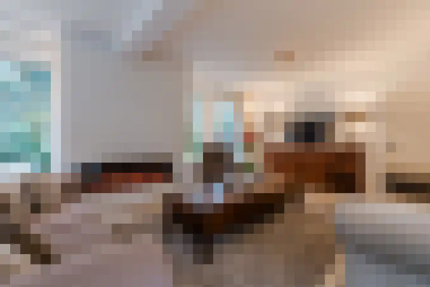 Het Lage Holt 12 Hoogeveen thumbnail 16