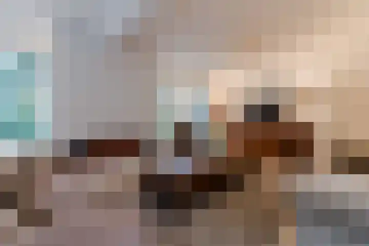 Het Lage Holt 12 Hoogeveen thumbnail 16