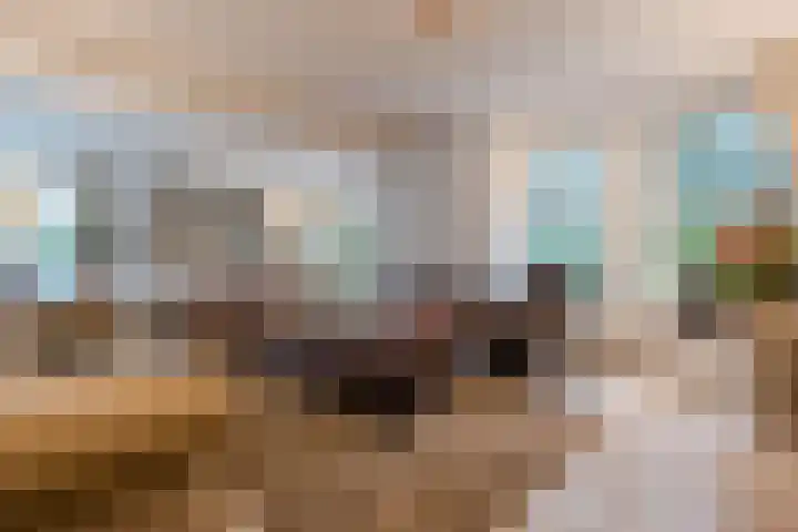 Het Lage Holt 12 Hoogeveen thumbnail 17