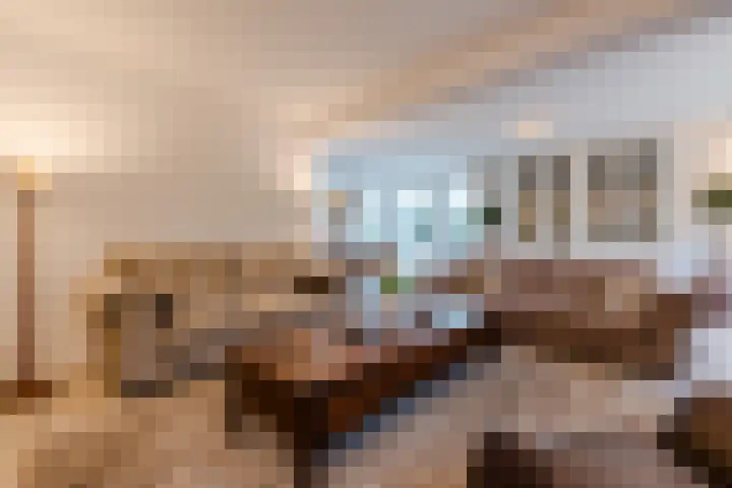 Het Lage Holt 12 Hoogeveen thumbnail 19