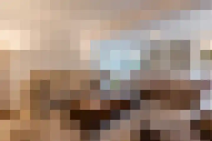 Het Lage Holt 12 Hoogeveen thumbnail 19