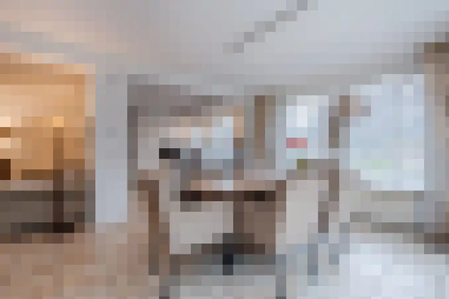 Het Lage Holt 12 Hoogeveen thumbnail 20