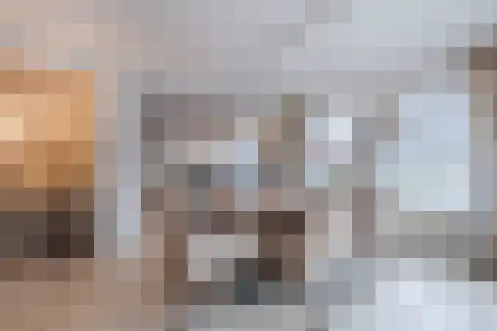 Het Lage Holt 12 Hoogeveen thumbnail 20