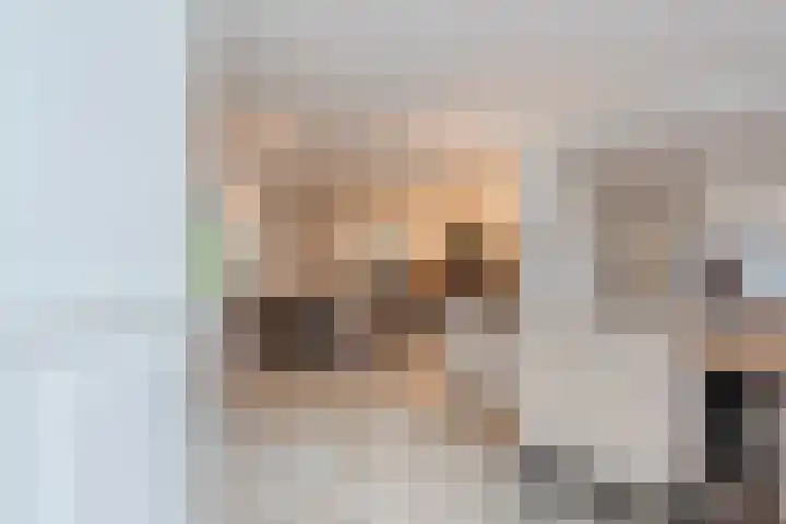 Het Lage Holt 12 Hoogeveen thumbnail 21