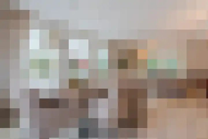 Het Lage Holt 12 Hoogeveen thumbnail 22