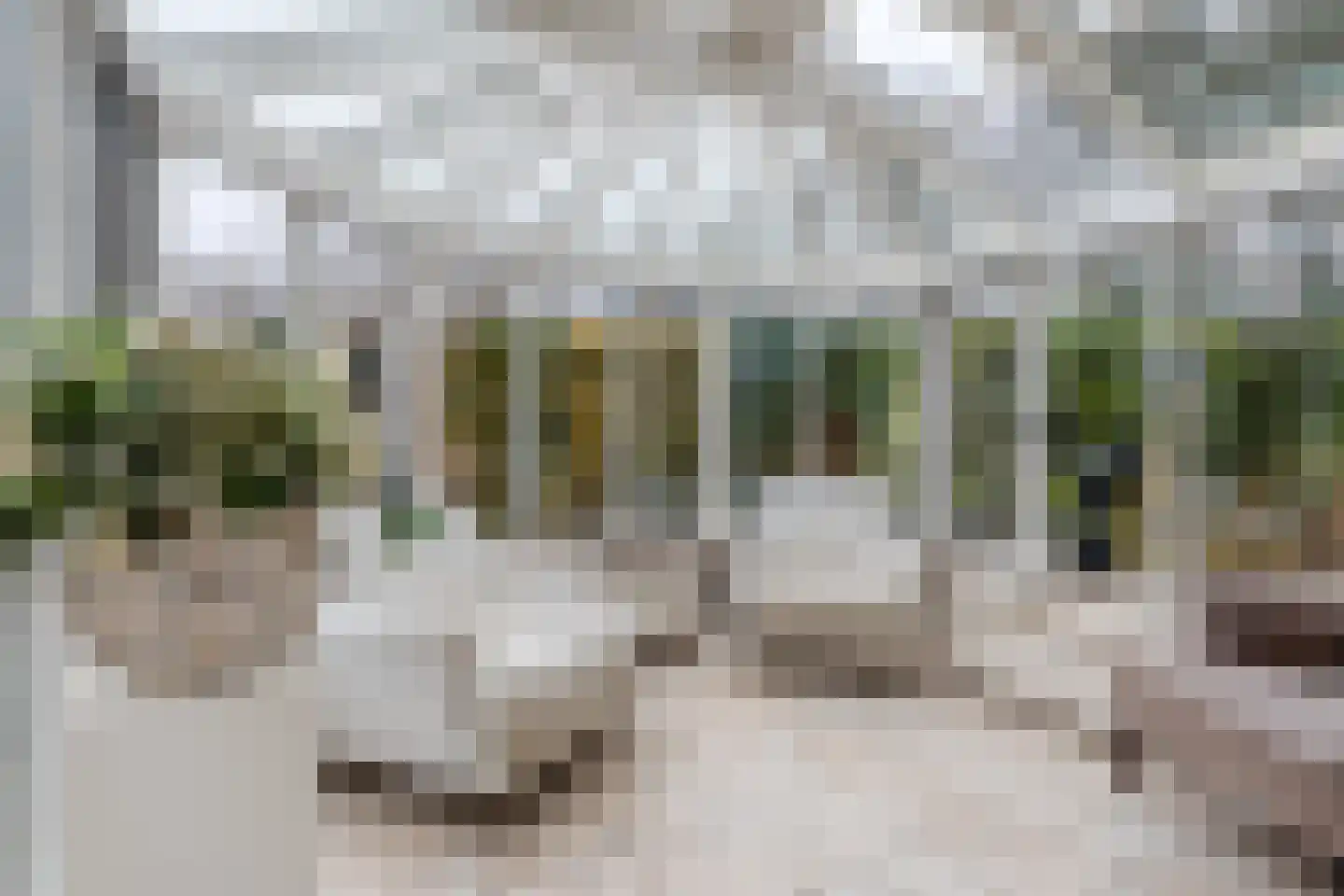 Het Lage Holt 12 Hoogeveen thumbnail 23