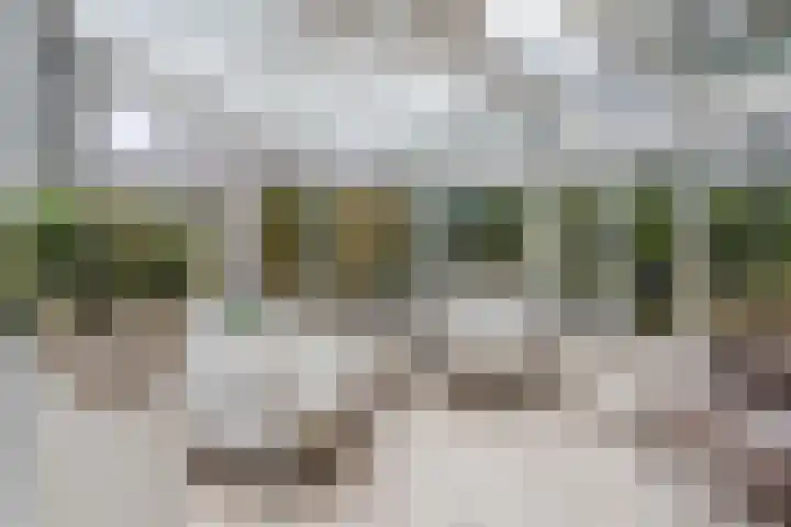 Het Lage Holt 12 Hoogeveen thumbnail 23