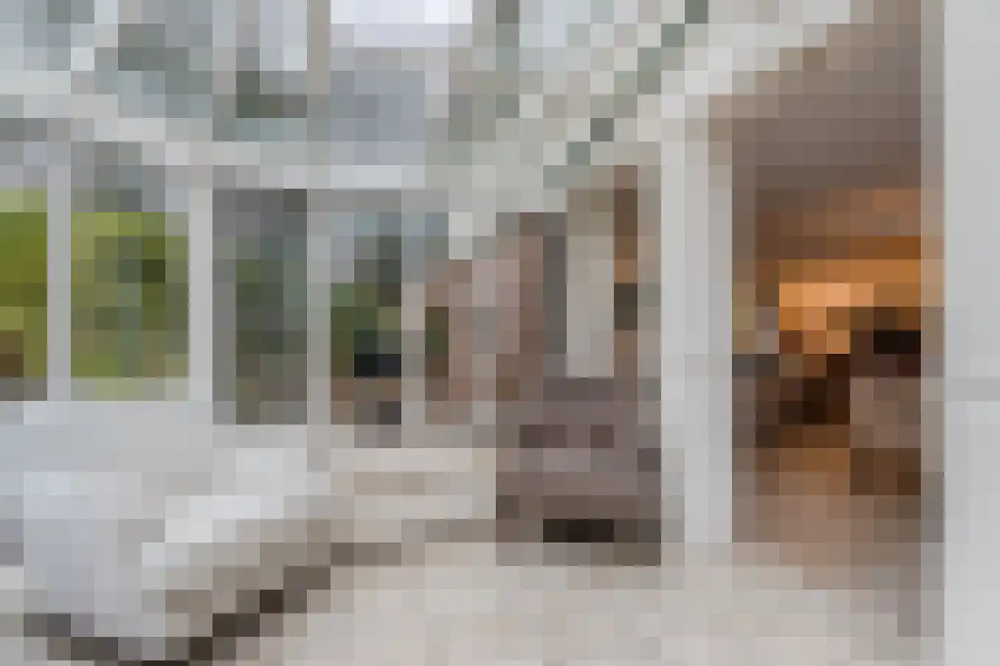 Het Lage Holt 12 Hoogeveen thumbnail 24