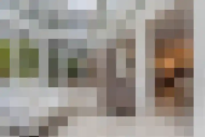 Het Lage Holt 12 Hoogeveen thumbnail 24