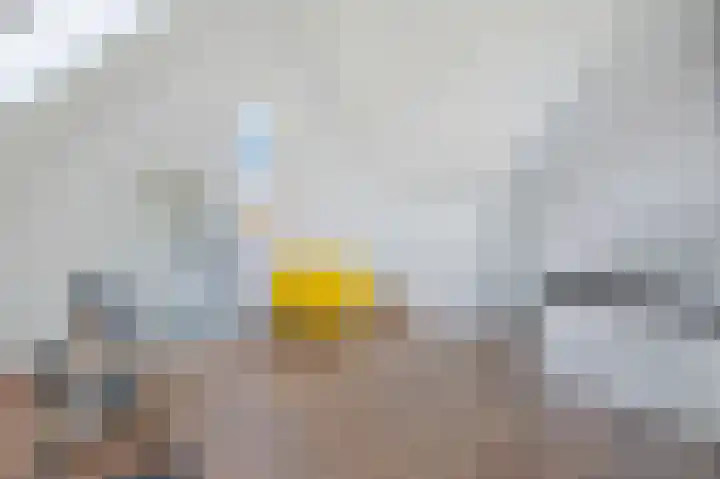 Het Lage Holt 12 Hoogeveen thumbnail 26