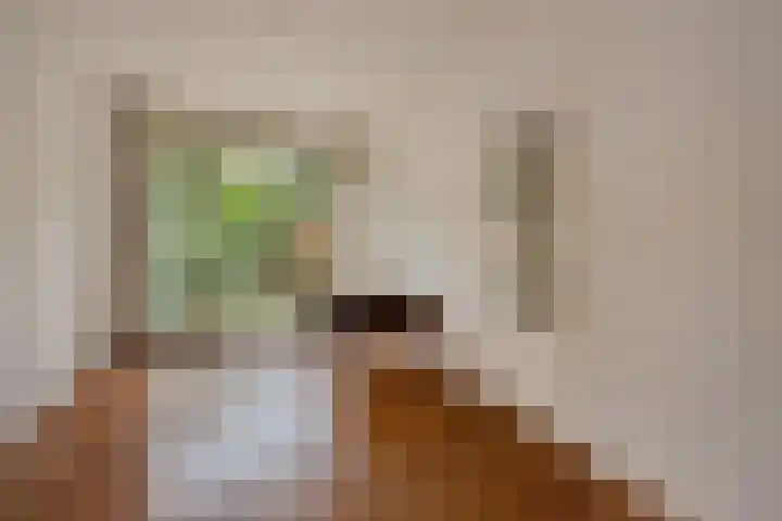 Het Lage Holt 12 Hoogeveen thumbnail 31