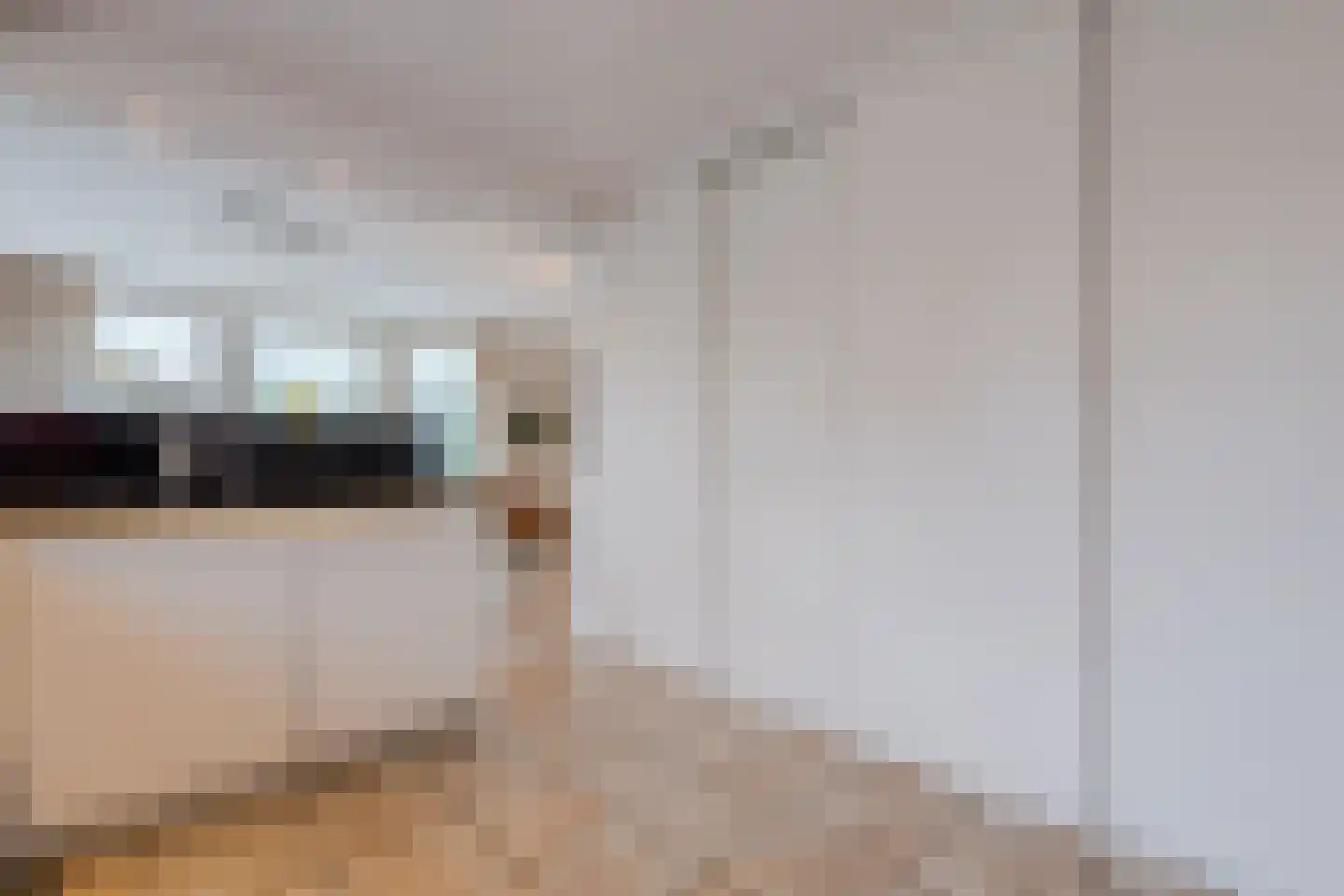 Het Lage Holt 12 Hoogeveen thumbnail 31