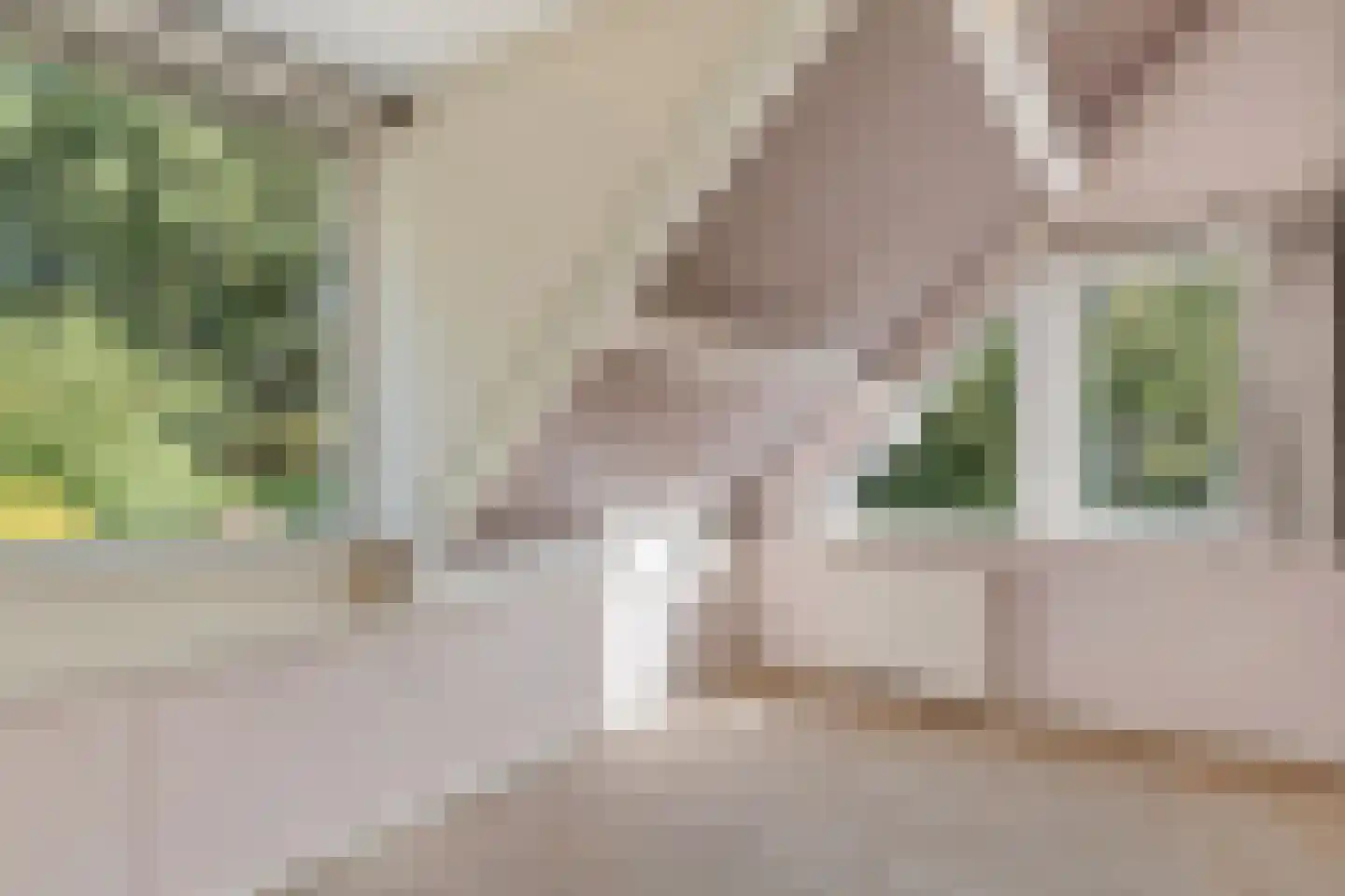 Het Lage Holt 12 Hoogeveen thumbnail 32