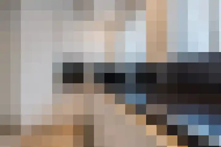 Het Lage Holt 12 Hoogeveen thumbnail 32