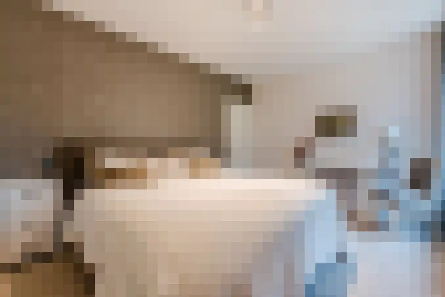 Het Lage Holt 12 Hoogeveen thumbnail 33