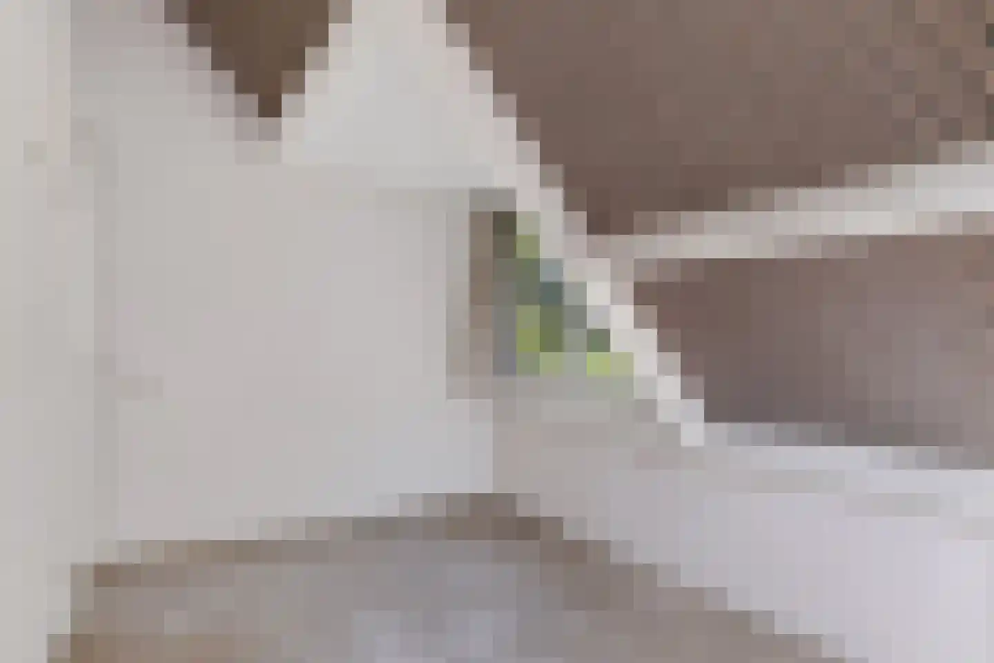 Het Lage Holt 12 Hoogeveen thumbnail 33