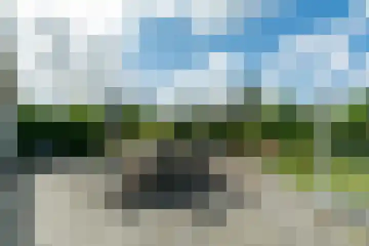 Het Lage Holt 12 Hoogeveen thumbnail 34