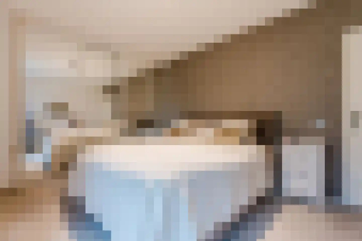 Het Lage Holt 12 Hoogeveen thumbnail 34