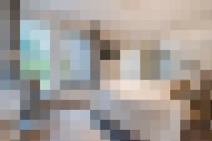Het Lage Holt 12 Hoogeveen thumbnail 35