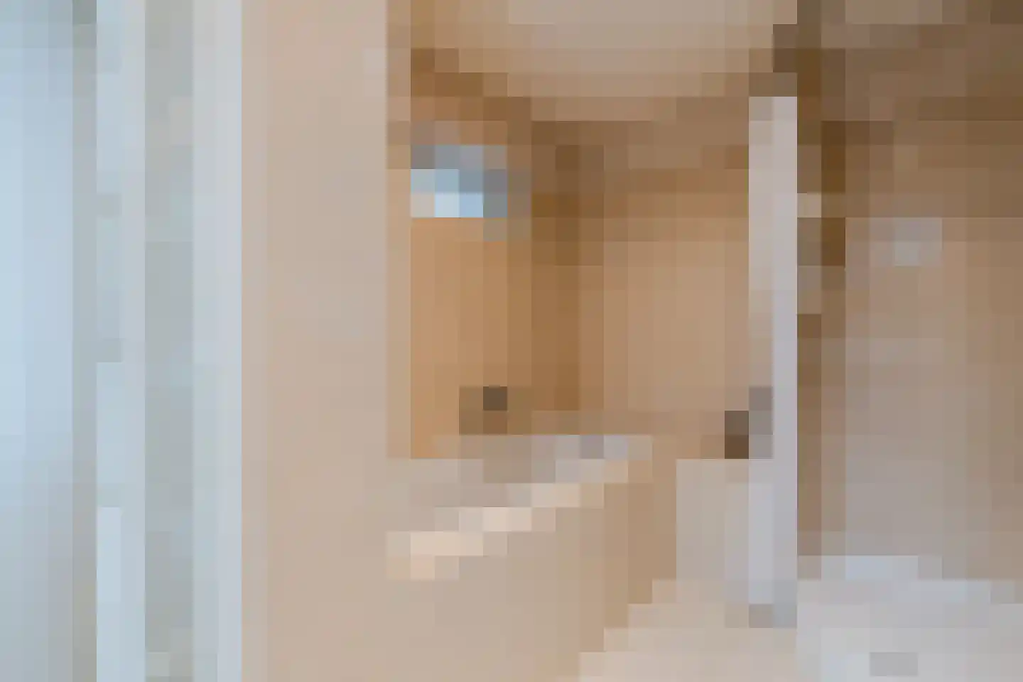 Het Lage Holt 12 Hoogeveen thumbnail 37