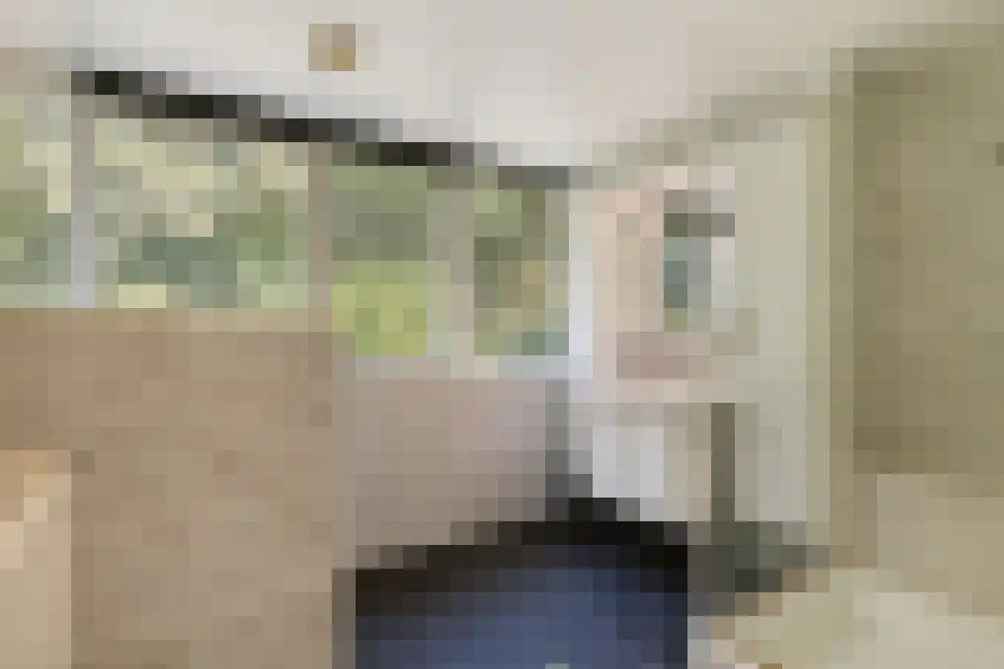 Het Lage Holt 12 Hoogeveen thumbnail 37