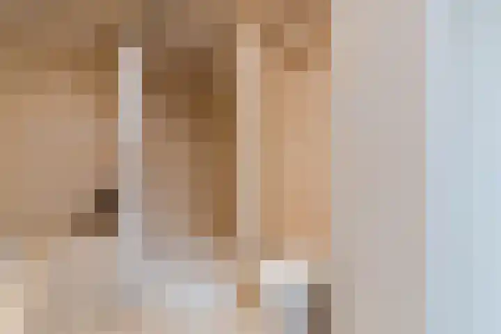 Het Lage Holt 12 Hoogeveen thumbnail 38