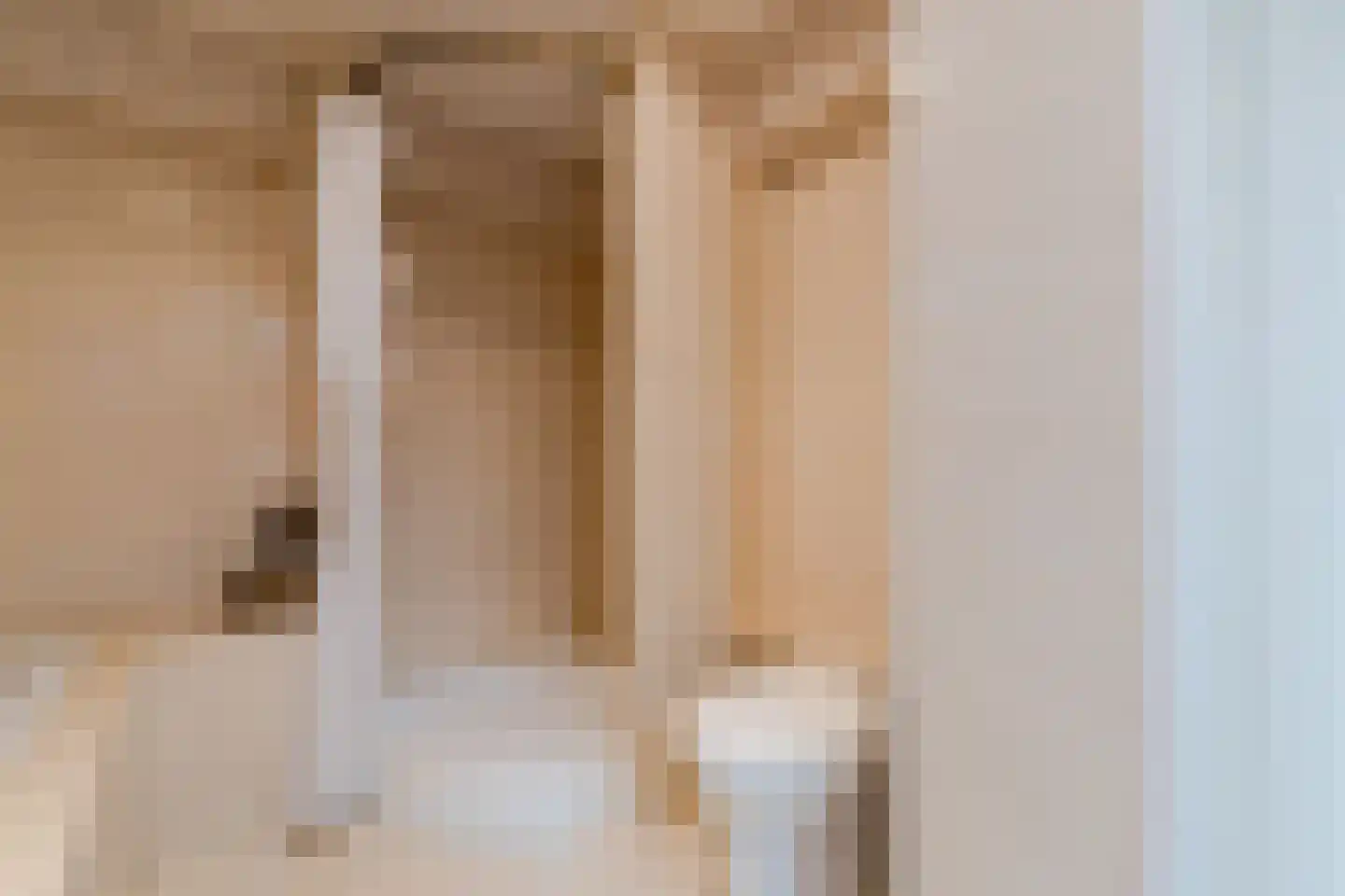 Het Lage Holt 12 Hoogeveen thumbnail 38