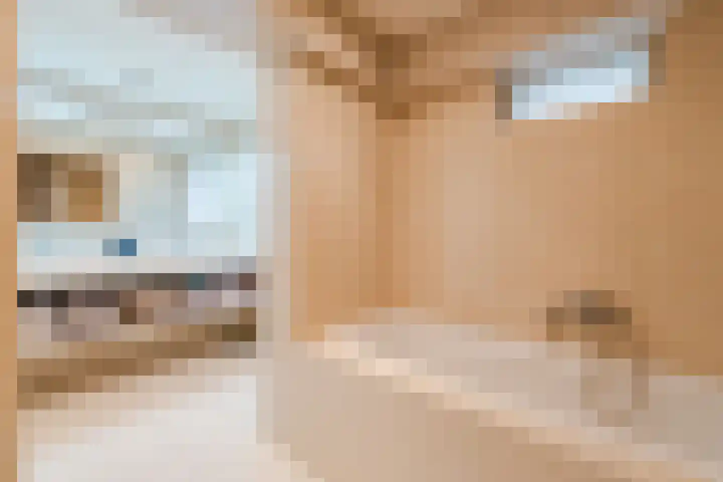 Het Lage Holt 12 Hoogeveen thumbnail 39