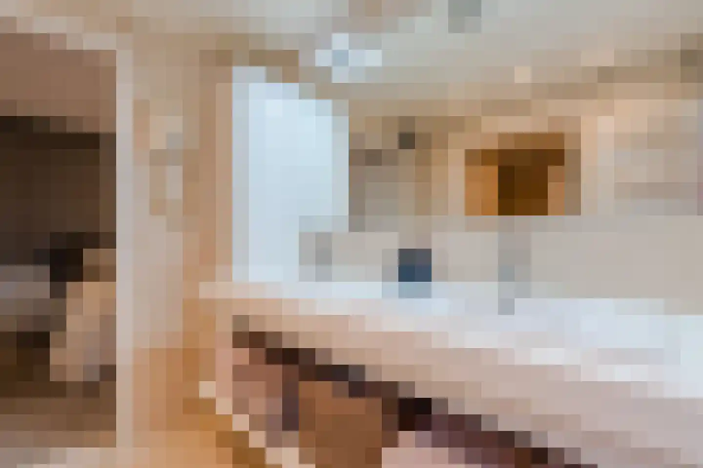 Het Lage Holt 12 Hoogeveen thumbnail 40
