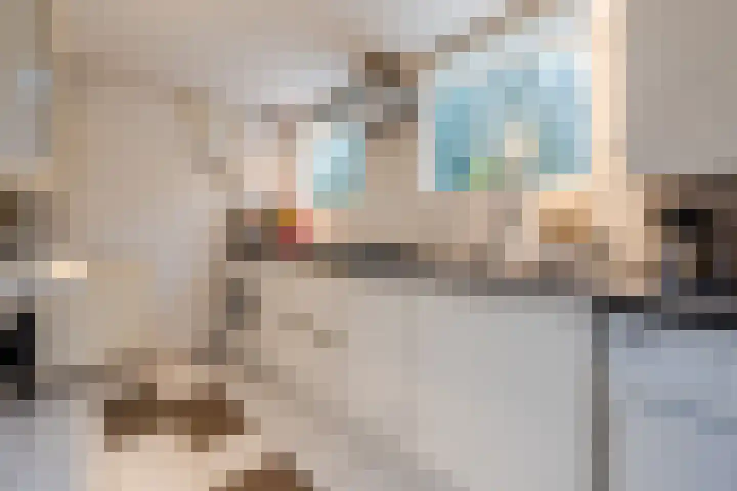 Het Lage Holt 12 Hoogeveen thumbnail 41