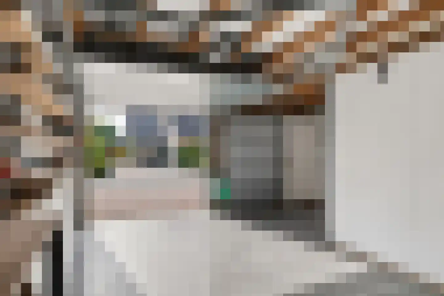 Het Lage Holt 12 Hoogeveen thumbnail 42