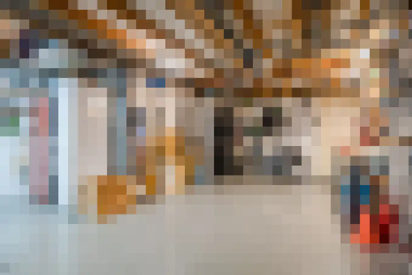 Het Lage Holt 12 Hoogeveen thumbnail 43