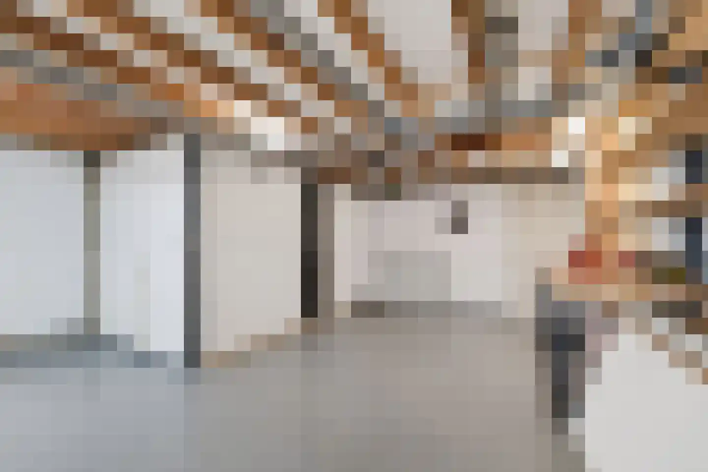 Het Lage Holt 12 Hoogeveen thumbnail 43