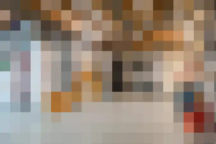 Het Lage Holt 12 Hoogeveen thumbnail 43