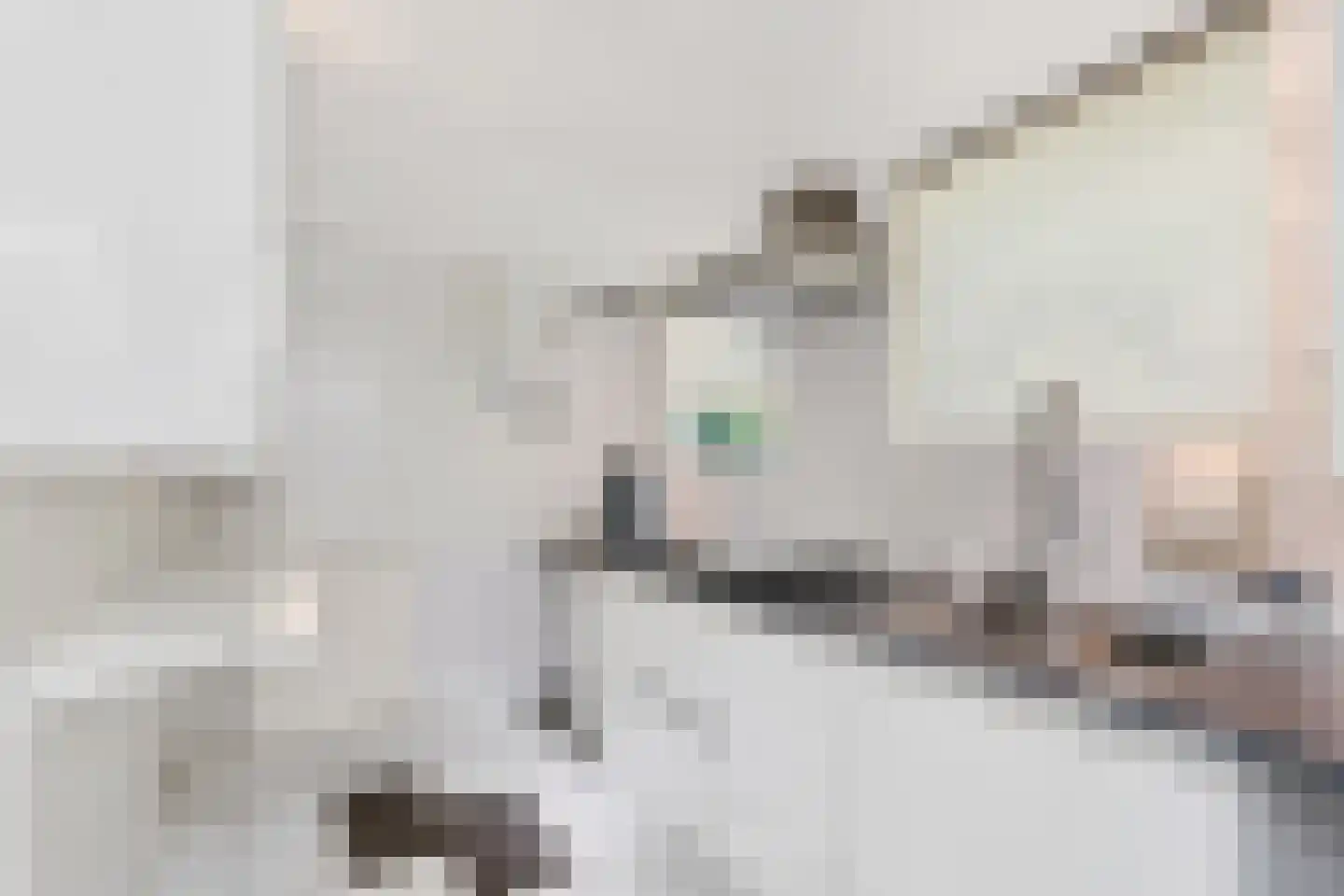 Het Lage Holt 12 Hoogeveen thumbnail 44