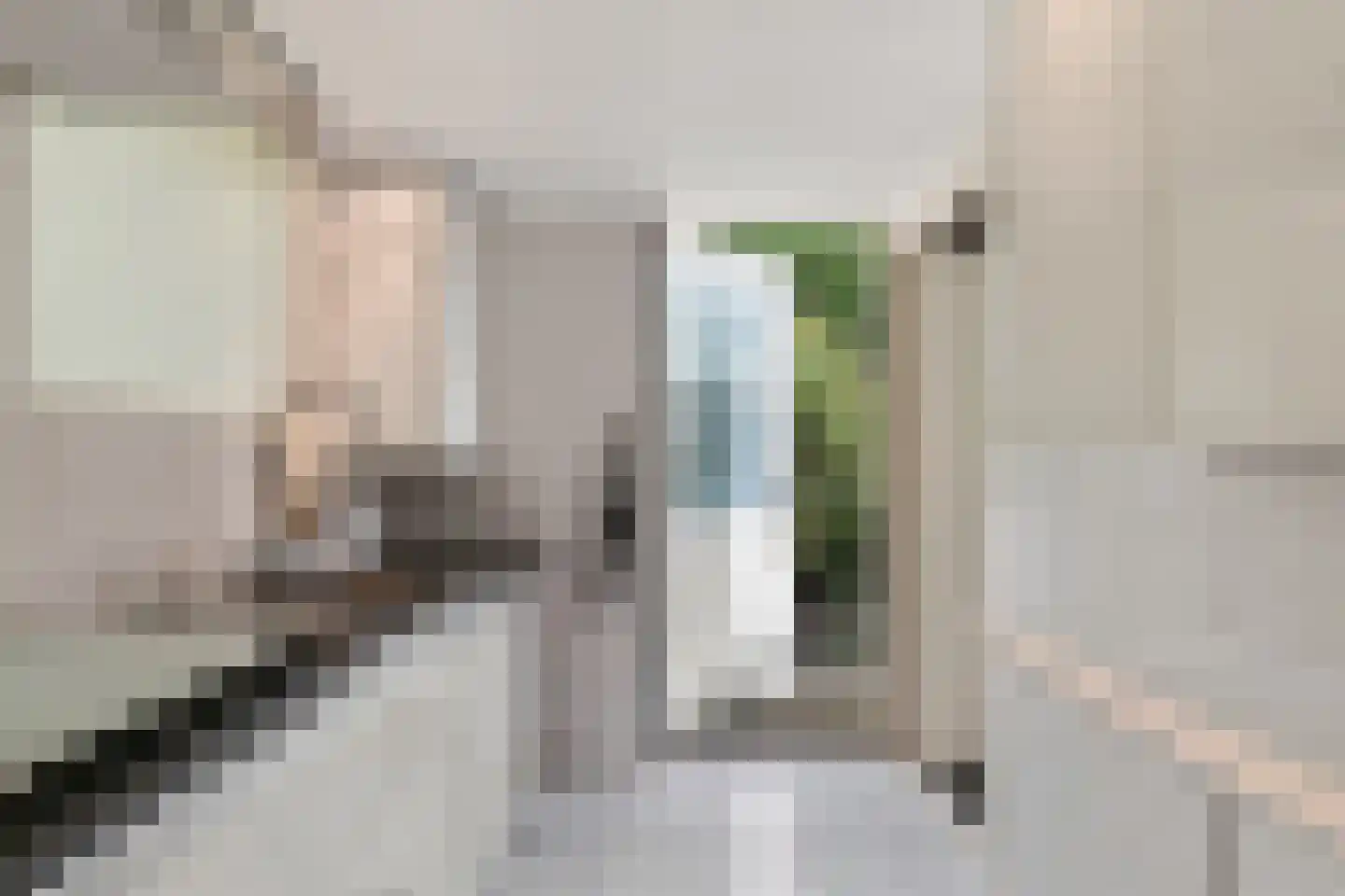 Het Lage Holt 12 Hoogeveen thumbnail 45