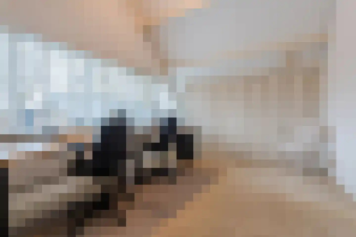 Het Lage Holt 12 Hoogeveen thumbnail 45