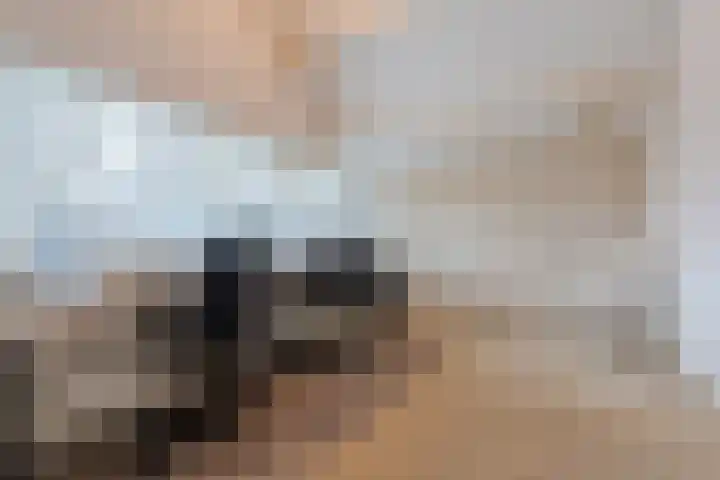Het Lage Holt 12 Hoogeveen thumbnail 45