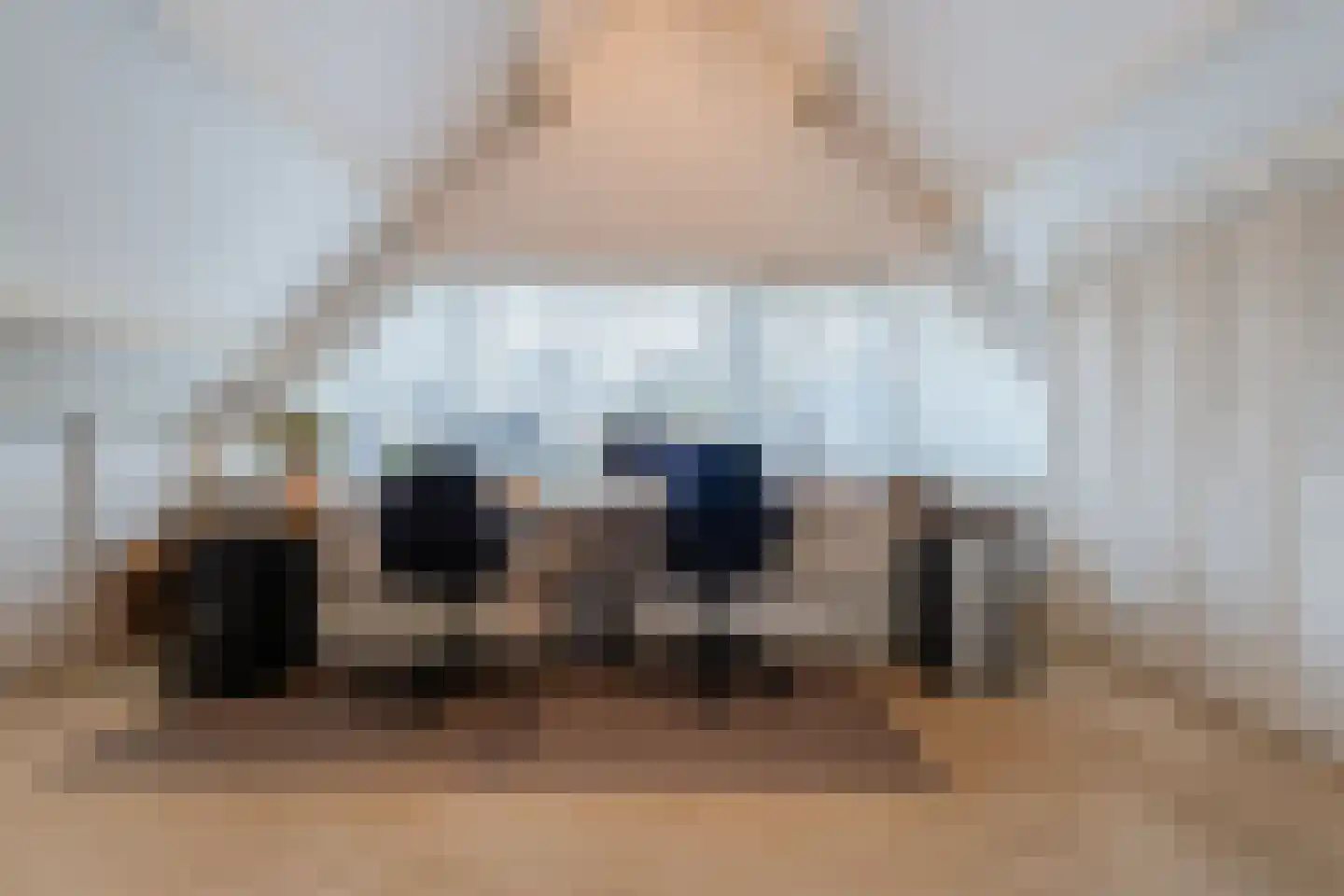 Het Lage Holt 12 Hoogeveen thumbnail 46