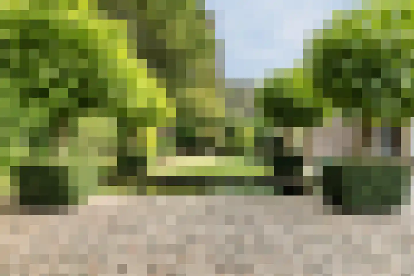 Het Lage Holt 12 Hoogeveen thumbnail 47