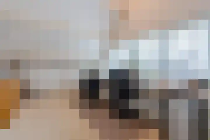 Het Lage Holt 12 Hoogeveen thumbnail 47