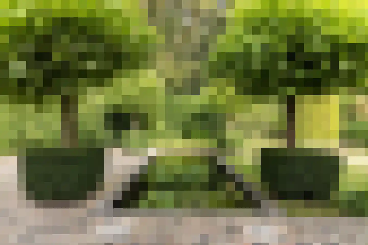 Het Lage Holt 12 Hoogeveen thumbnail 48