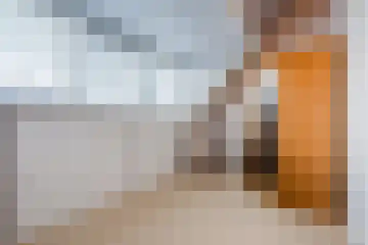 Het Lage Holt 12 Hoogeveen thumbnail 49