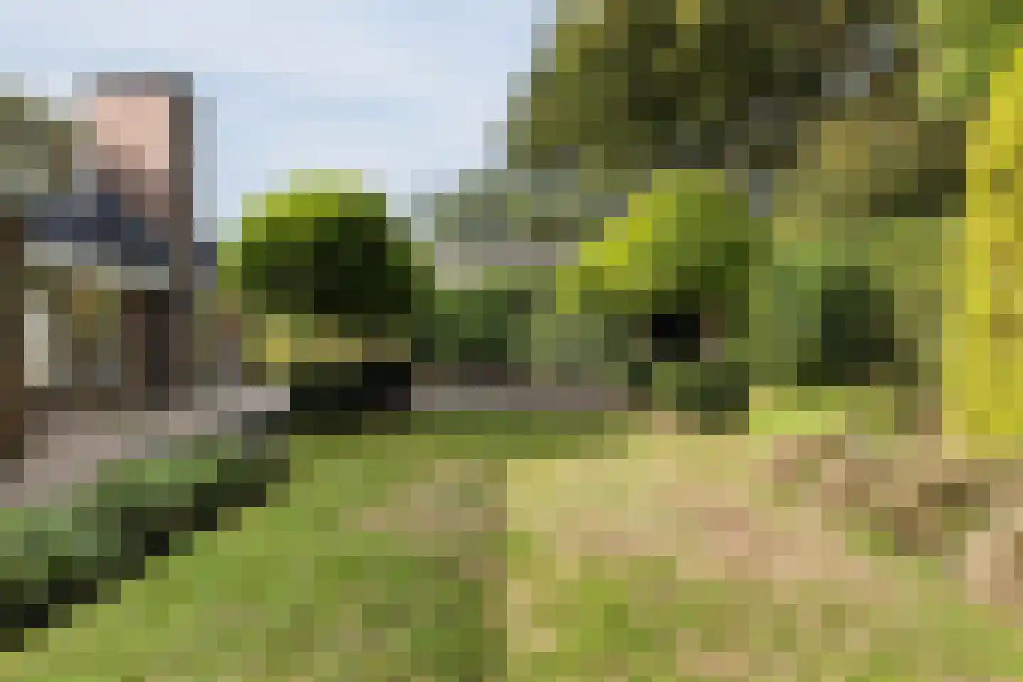 Het Lage Holt 12 Hoogeveen thumbnail 49