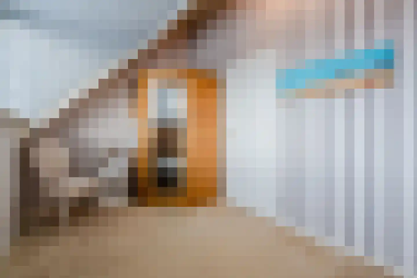 Het Lage Holt 12 Hoogeveen thumbnail 50